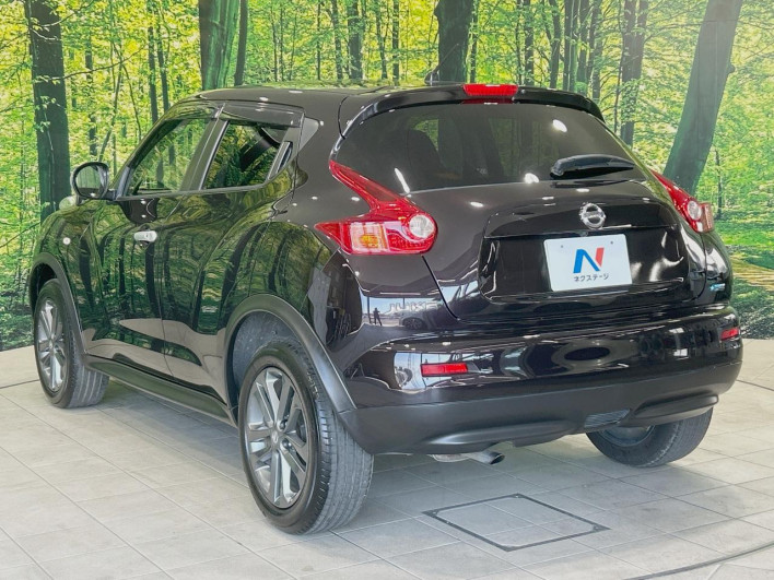 2013 Nissan JUKE DBA-YF15 (UW-6a0d27199c2fc)[7]