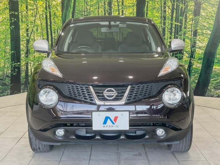 2013 Nissan JUKE DBA-YF15 (UW-6a0d27199c2fc)[24]