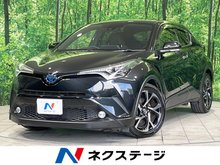 2018 Toyota C-HR DAA-ZYX10 (UW-6a0d274d58525)[3]