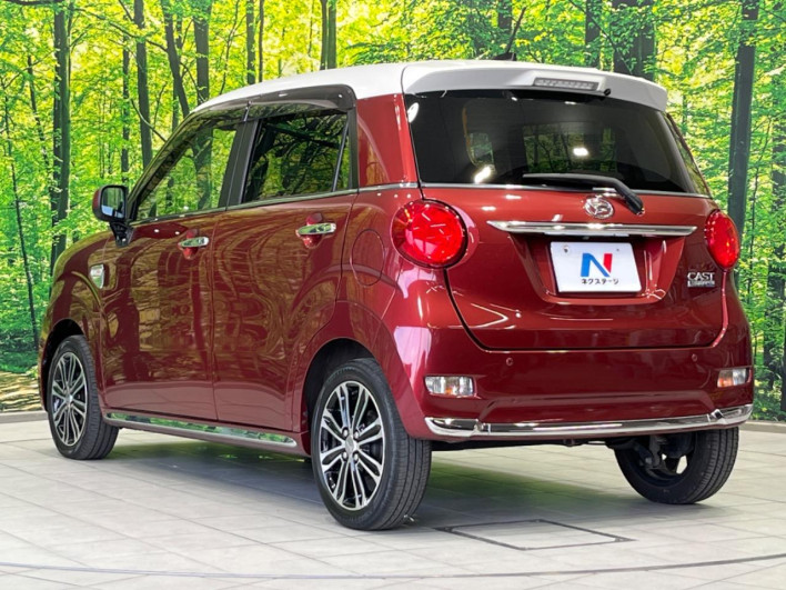 2018 Daihatsu Cast DBA-LA250S (UW-6a0e7617128cf)[17]