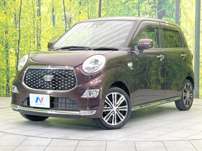2019 Daihatsu Cast DBA-LA250S (UW-6a0e7617513e0)[0]