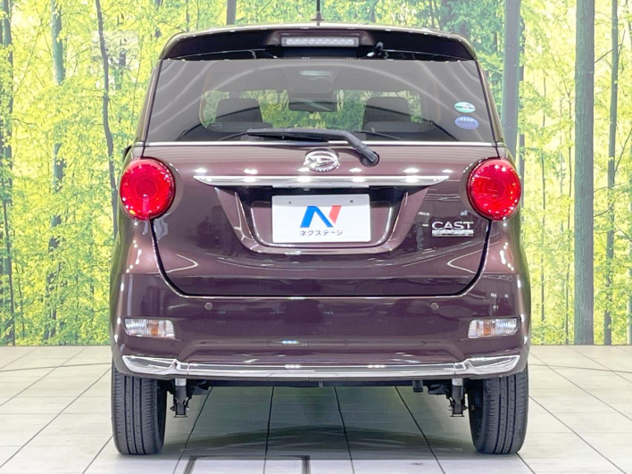 2019 Daihatsu Cast DBA-LA250S (UW-6a0e7617513e0)[10]