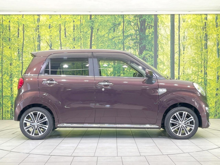 2019 Daihatsu Cast DBA-LA250S (UW-6a0e7617513e0)[8]