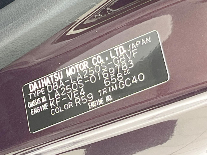 2019 Daihatsu Cast DBA-LA250S (UW-6a0e7617513e0)[1]