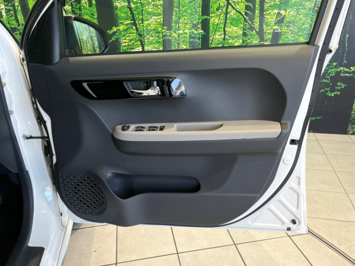 2016 Toyota Passo DBA-M700A (UW-6a0e76259717f)[29]
