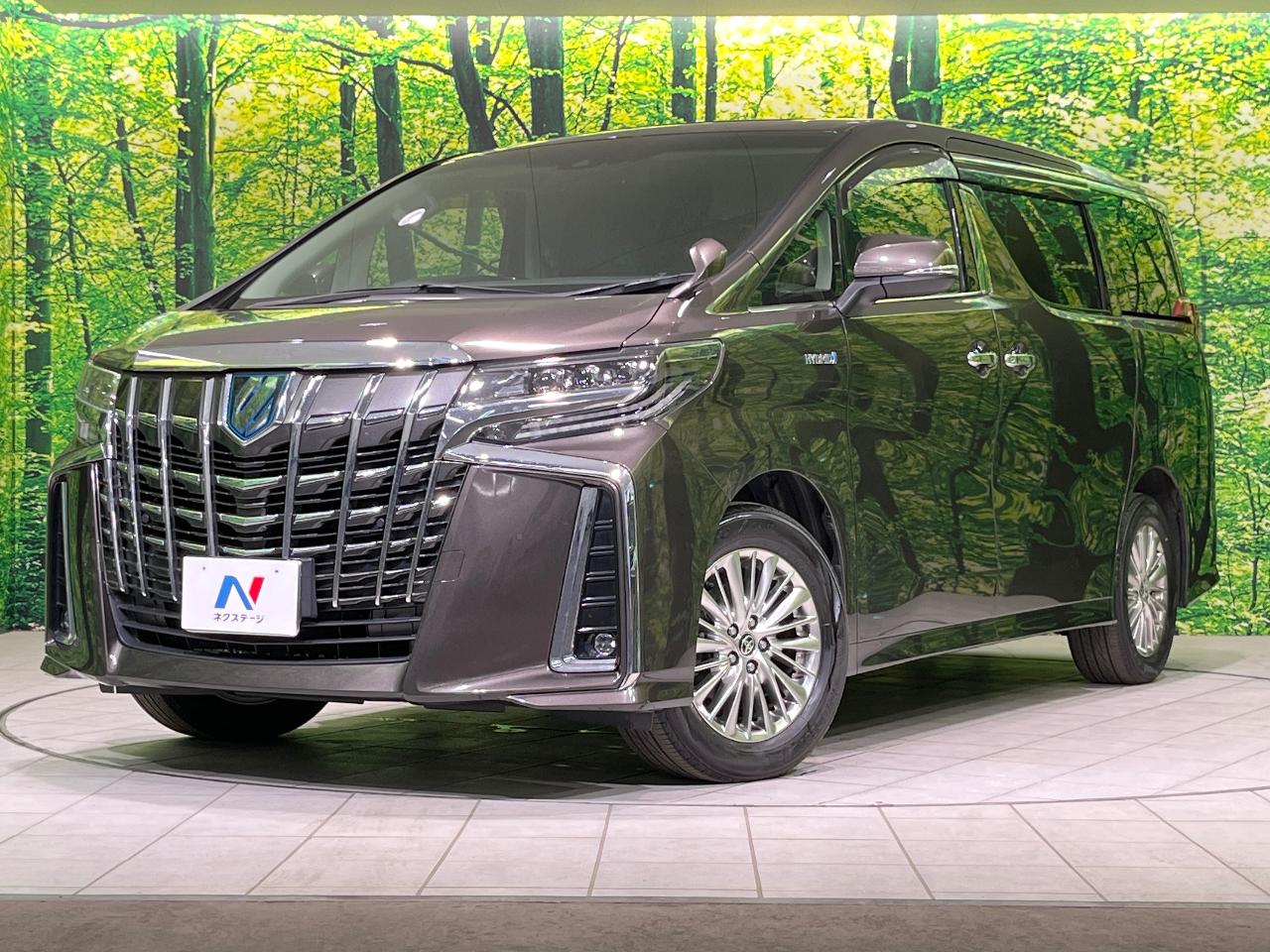 2020 Toyota Alphard Hybrid 6AA-AYH30W
