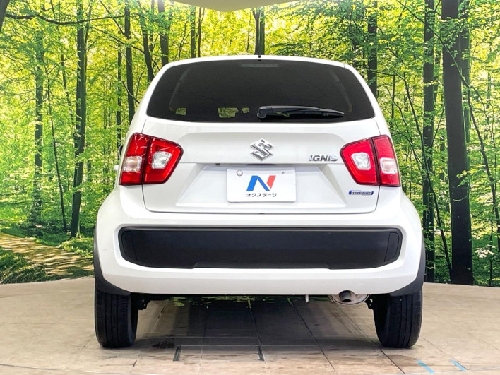 2019 Suzuki Ignis DAA-FF21S (UW-6a0fc857abe58)[29]