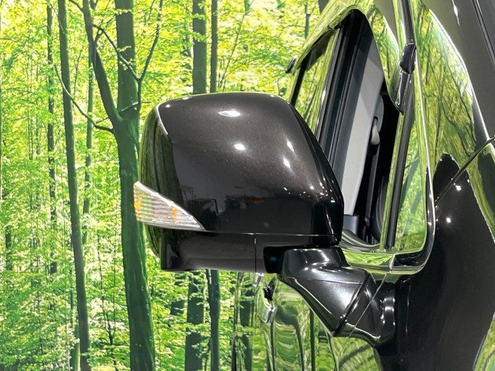 2014 Nissan Elgrand DBA-TNE52 (UW-6a0fc98e82fe8)[17]