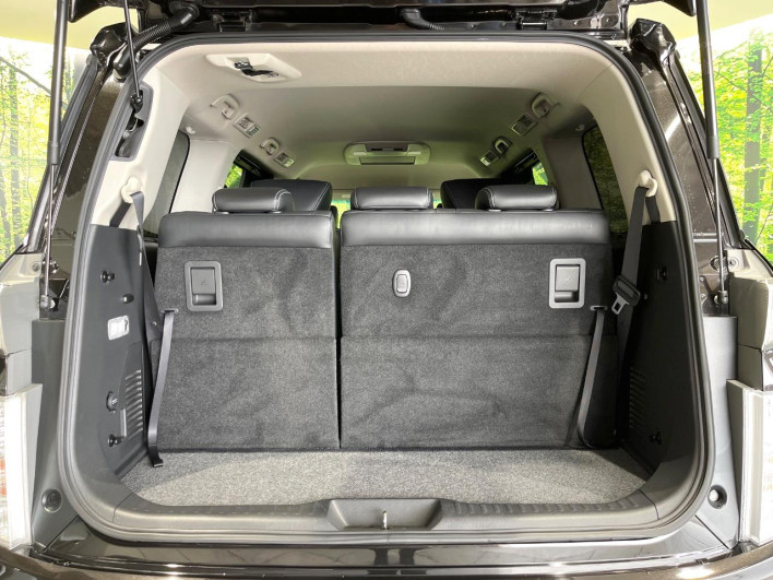 2014 Nissan Elgrand DBA-TNE52 (UW-6a0fc98e82fe8)[4]