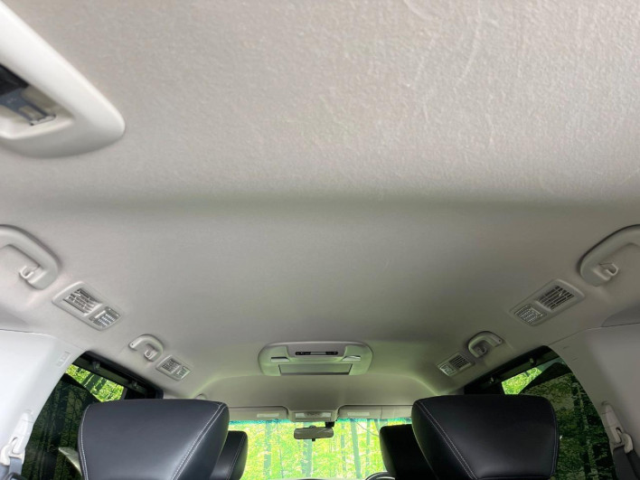 2014 Nissan Elgrand DBA-TNE52 (UW-6a0fc98e82fe8)[6]