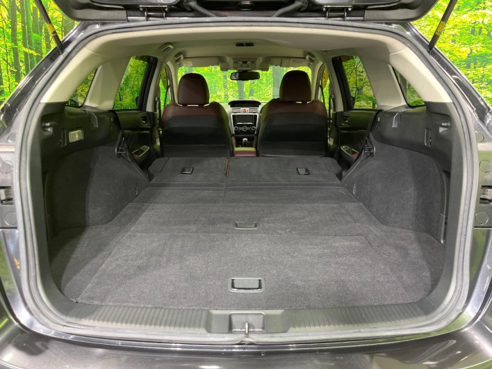 2016 Subaru Levorg DBA-VMG (UW-6a0fc99e3677c)[27]