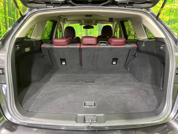 2016 Subaru Levorg DBA-VMG (UW-6a0fc99e3677c)[24]