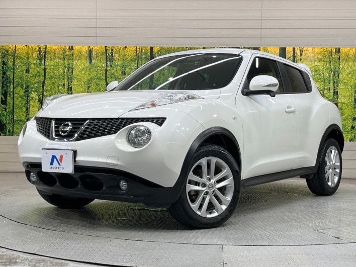 2013 Nissan JUKE DBA-YF15 (UW-6a0fc9b0a9c6d)[0]