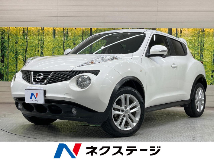 2013 Nissan JUKE DBA-YF15 (UW-6a0fc9b0a9c6d)[3]