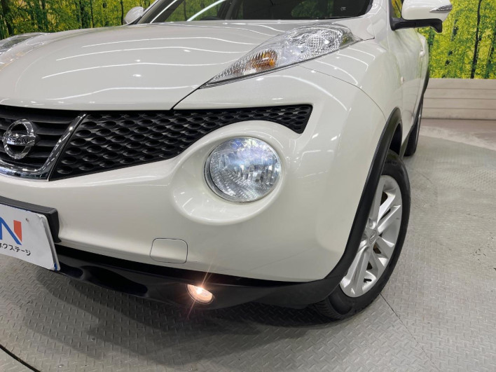 2013 Nissan JUKE DBA-YF15 (UW-6a0fc9b0a9c6d)[29]