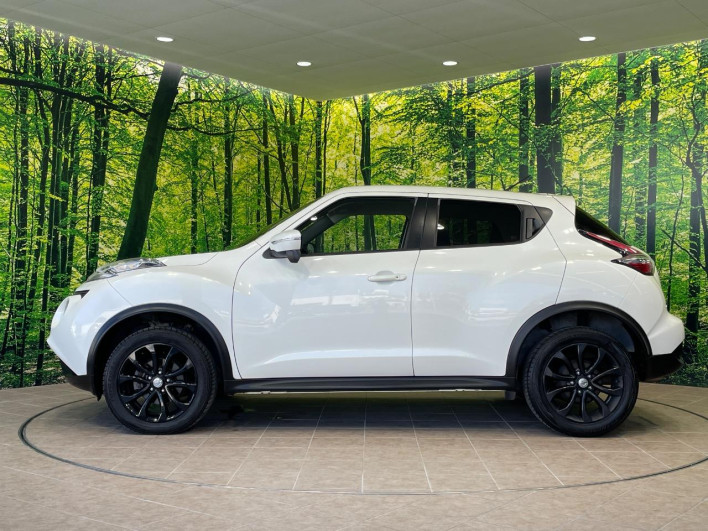 2017 Nissan JUKE DBA-YF15 (UW-6a0fc9b0c3198)[11]
