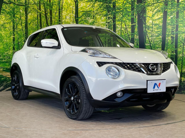2017 Nissan JUKE DBA-YF15 (UW-6a0fc9b0c3198)[6]