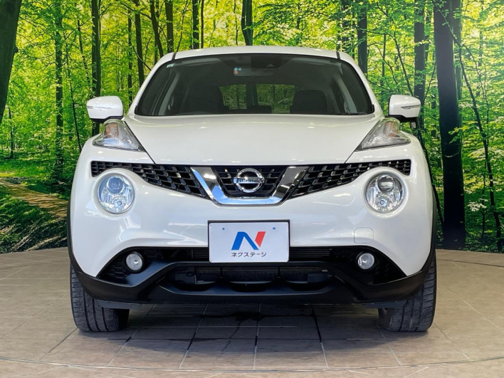 2017 Nissan JUKE DBA-YF15 (UW-6a0fc9b0c3198)[5]