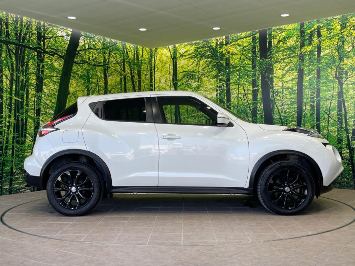 2017 Nissan JUKE DBA-YF15 (UW-6a0fc9b0c3198)[7]
