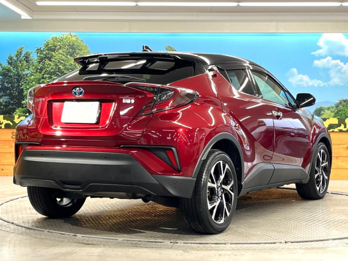 2018 Toyota C-HR DAA-ZYX10 (UW-6a0fc9e59a185)[13]
