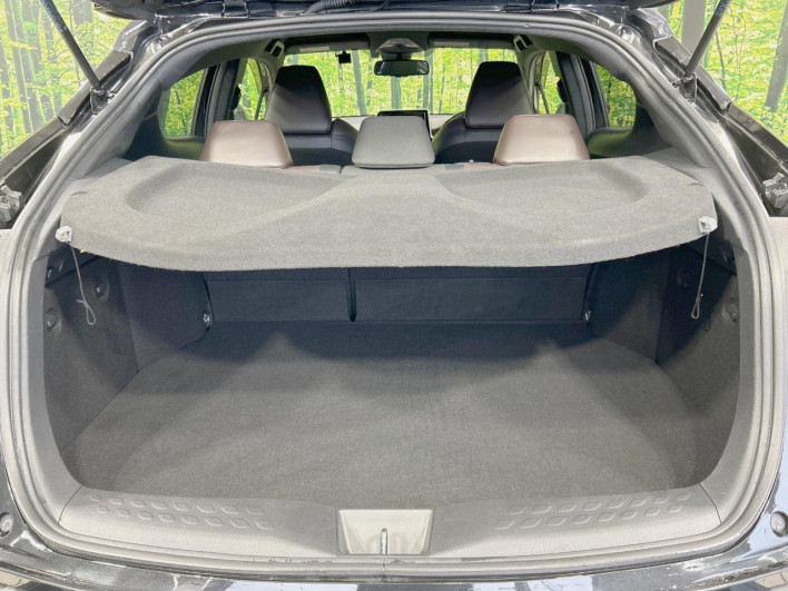 2018 Toyota C-HR DAA-ZYX10 (UW-6a0fc9e5ac5a3)[13]