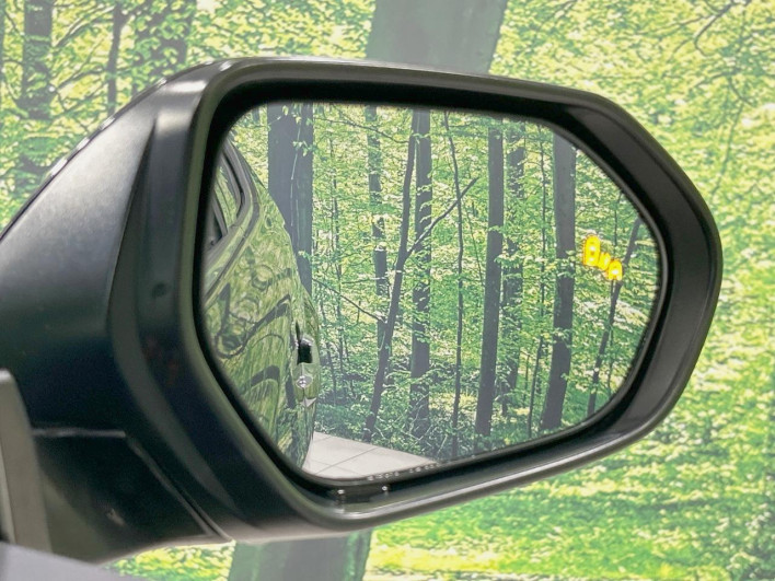 2018 Toyota C-HR DAA-ZYX10 (UW-6a0fc9e5ac5a3)[7]