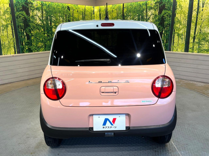 2019 Suzuki ALTO Lapin DBA-HE33S (UW-6a111a36749bc)[10]