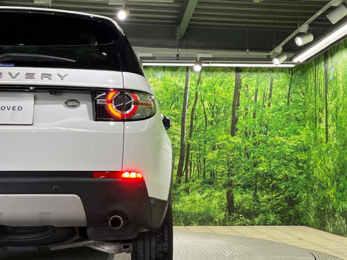 2017 Land Rover Discovery Sport CBA-LC2A (UW-6a111b5182579)[28]
