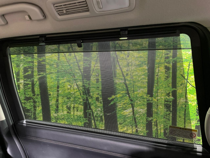 2019 Nissan Elgrand DBA-TE52 (UW-6a111b5e81eef)[10]