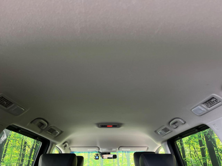 2019 Nissan Elgrand DBA-TNE52 (UW-6a111b5ee89f7)[25]