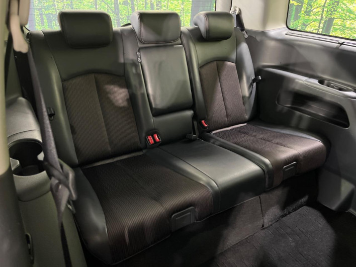 2019 Nissan Elgrand DBA-TNE52 (UW-6a111b5ee89f7)[14]
