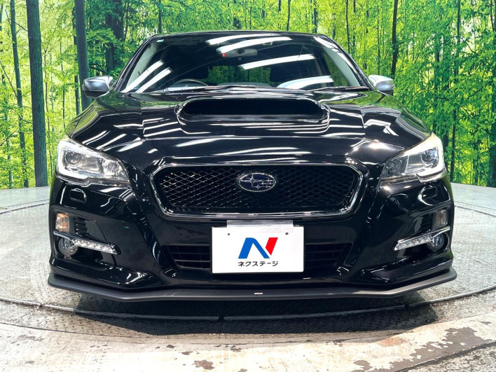 2015 Subaru Levorg DBA-VM4 (UW-6a111b6d6e44e)[17]
