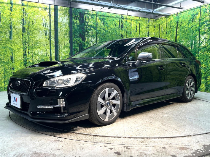2015 Subaru Levorg DBA-VM4 (UW-6a111b6d6e44e)[18]