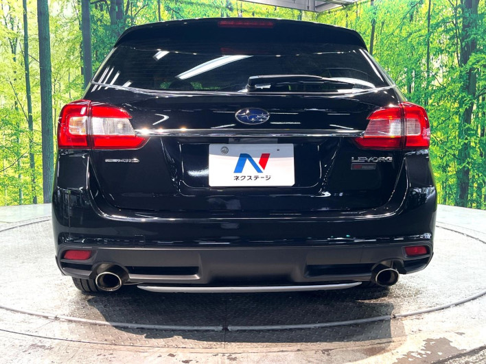 2015 Subaru Levorg DBA-VM4 (UW-6a111b6d6e44e)[21]