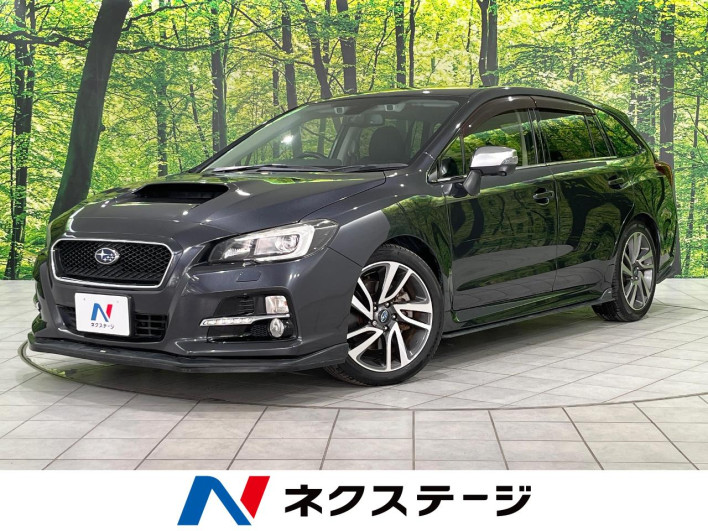 2015 Subaru Levorg DBA-VM4 (UW-6a111b6e5e6c3)[3]