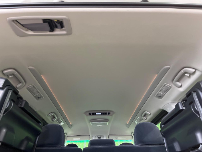 2009 Toyota Alphard DBA-ANH25W (UW-6a126b52a507e)[18]