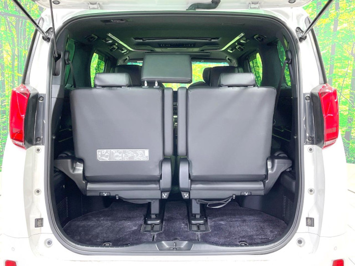 2020 Toyota Alphard Hybrid 6AA-AYH30W (UW-6a126b66b0fd3)[22]