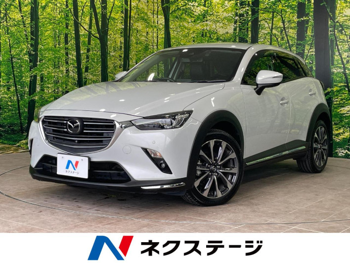 2019 Mazda CX-3 6BA-DKEFW (UW-6a126b9d4e999)[3]