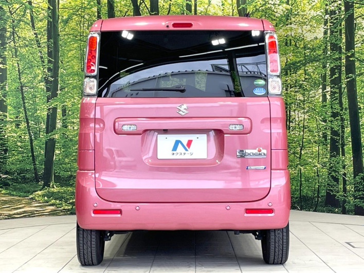 2019 Suzuki Spacia DAA-MK53S (UW-6a126c80daf17)[19]