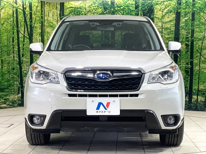 2014 Subaru Forester DBA-SJ5 (UW-6a126d02a7d53)[14]