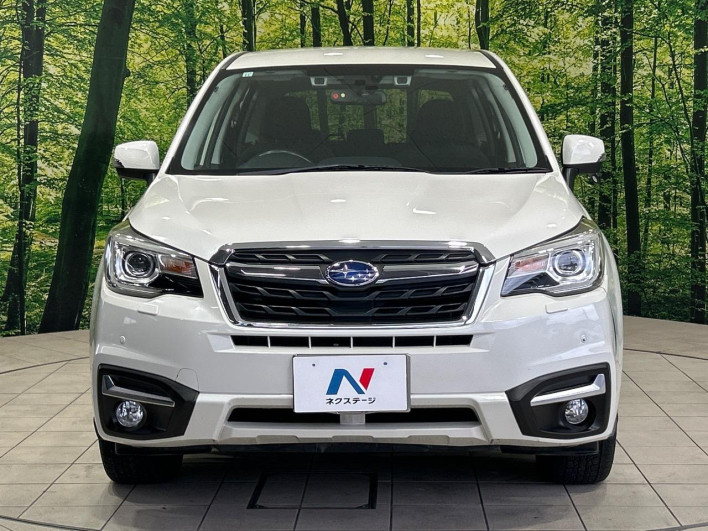 2015 Subaru Forester DBA-SJ5 (UW-6a126d02d371b)[15]