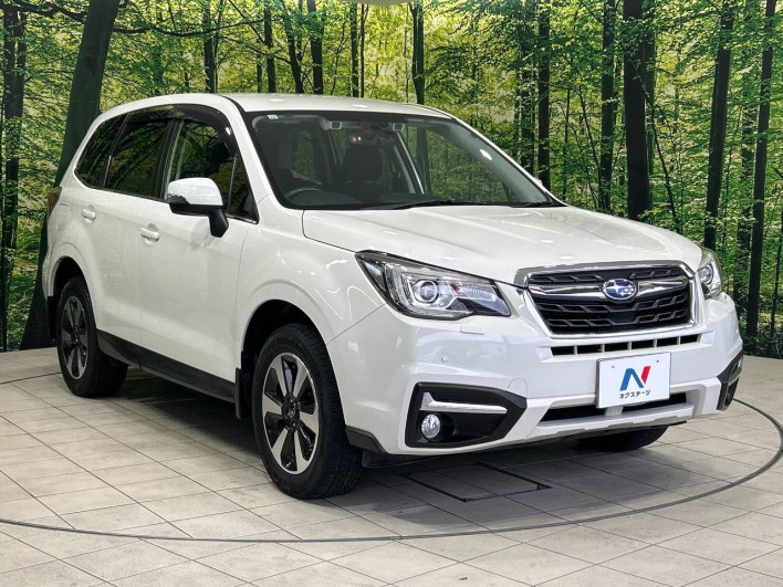 2015 Subaru Forester DBA-SJ5 (UW-6a126d02d371b)[17]