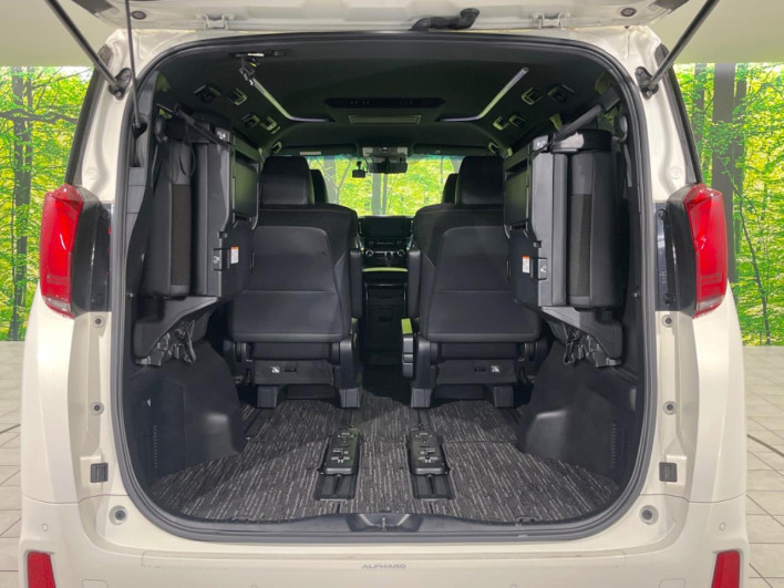 2020 Toyota Alphard Hybrid 6AA-AYH30W (UW-6a13efa8a02f9)[22]
