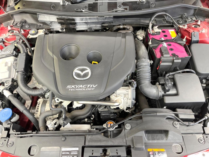 2015 Mazda Demio LDA-DJ5FS (UW-6a13efd31c751)[4]