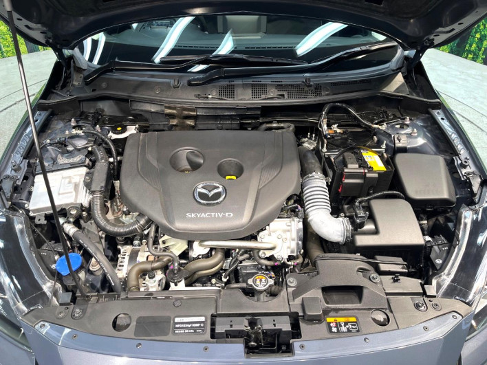 2024 Mazda Mazda2 3da-dj5fs (UW-6a13efd37f6b4)[4]