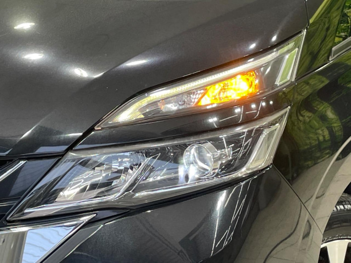 2017 Nissan Serena DAA-GFC27 (UW-6a13efe8c1d29)[10]