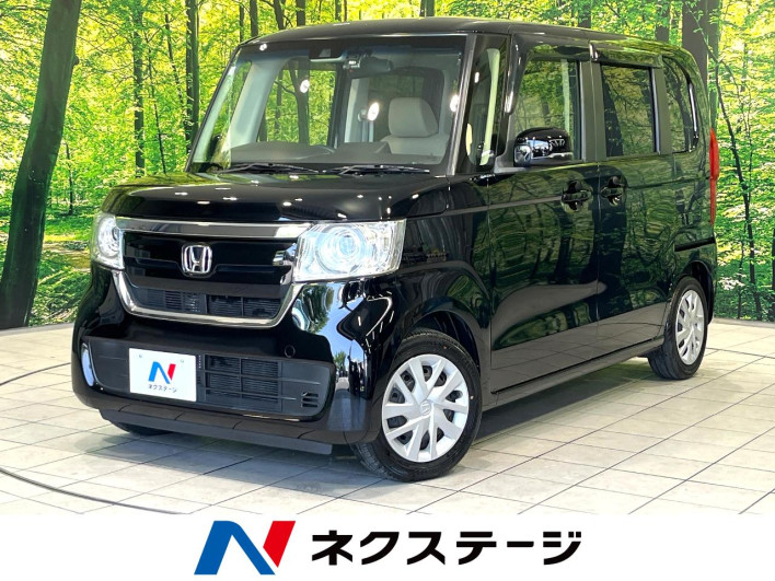 2019 Honda N-BOX DBA-JF3 (UW-6a13f02632c46)[3]