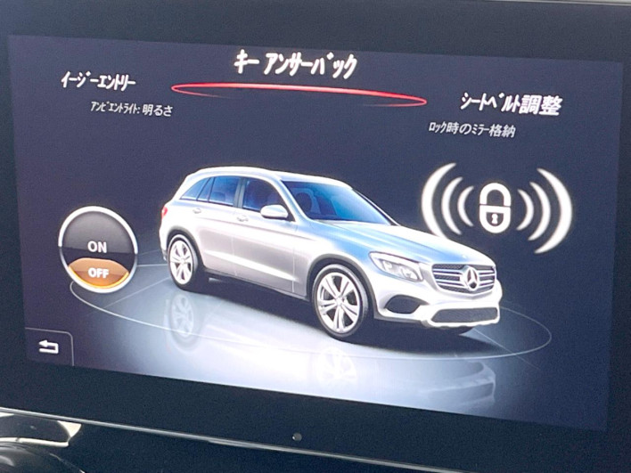 2016 Mercedes Benz GLC DBA-253946C (UW-6a13f12a1e262)[12]