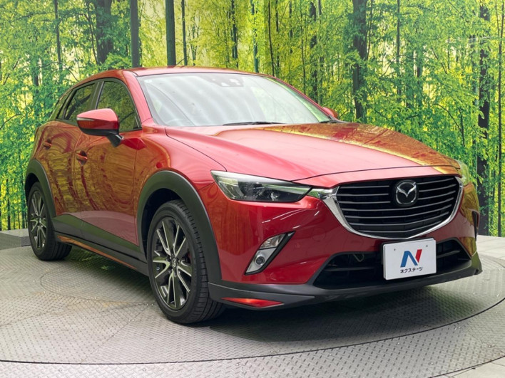 2016 Mazda CX-3 LDA-DK5FW (UW-6a150e7f7f354)[9]