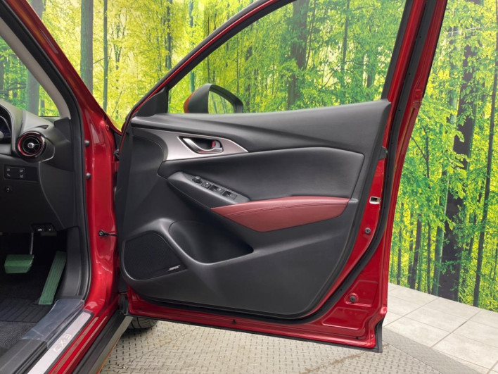 2016 Mazda CX-3 LDA-DK5FW (UW-6a150e7f7f354)[21]